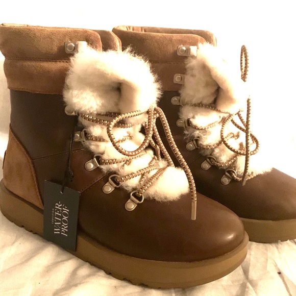 ugg viki chestnut
